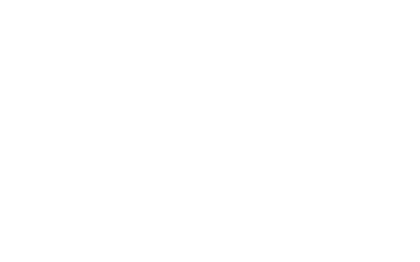 Forest Wellness