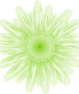 Book an Appointment with Lauren Goncz at Milton Location