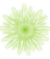 Book an Appointment with Chloe Champredon for Literacy Coach